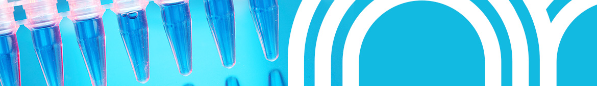 Essai d'aptitude chimie - matrices solides