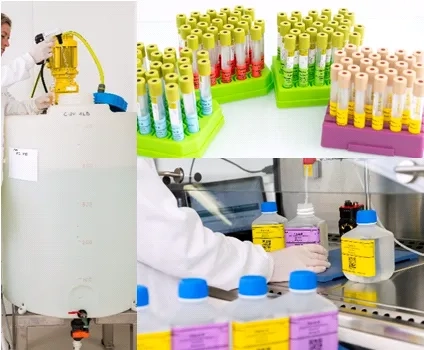 EIL microbiologie - EEQ biologie médicale