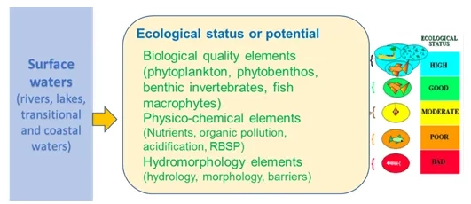 Biological-state-water